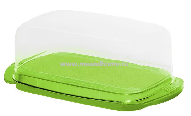 ТОВАРЫ Масленка ROTHO Fresh 1709705070 прозрачный, зеленый в интернет-магазине meandhome.ru