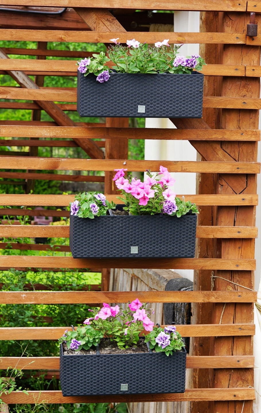Балконный ящик Rato case 25х60х24см умбра DRTC600-440U фото в интернет-магазине meandhome.ru