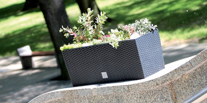 Балконный ящик Rato case  33х80х32см умбра DRTC800-440U фото в интернет-магазине meandhome.ru