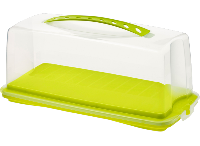 ТОВАРЫ Тортовница для кекса ROTHO Fresh 17225 360х160х160мм прозрачный, зеленый   в интернет-магазине meandhome.ru