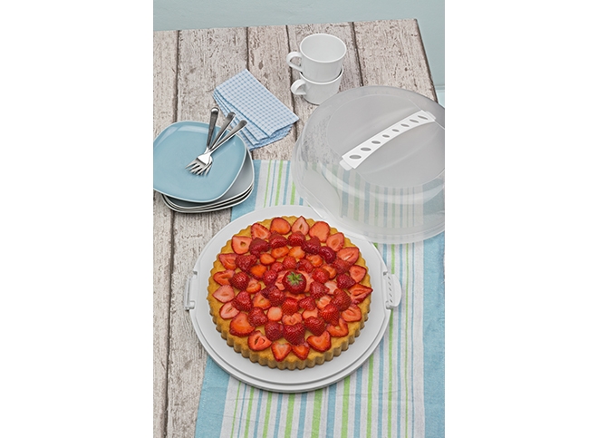 ТОВАРЫ Тортовница круглая ROTHO Fresh низкая d=345мм h=116мм 1723905070 прозрачный, лайм в интернет-магазине meandhome.ru