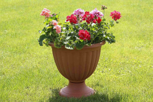 Вазон Грация 2 d23см h23см 3,3л терра FP 1006